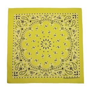 CTM Cotton Neon Paisley Bandanas